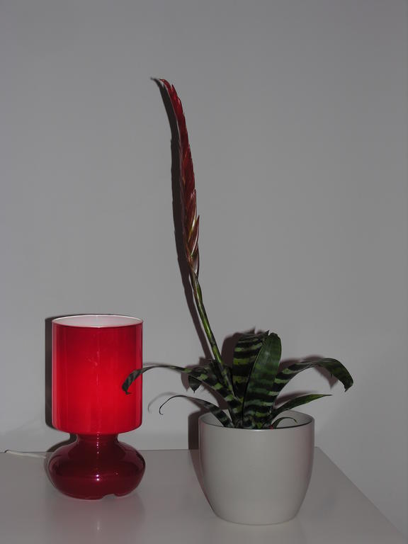 Апартаменти Amaryllis